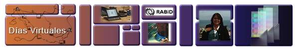 collection logo